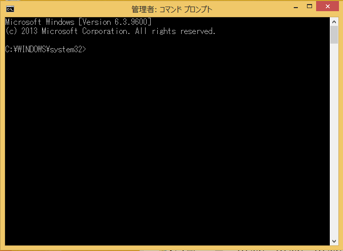 Windows8/8/1 chkdsk(チェックディスク)のコマンドプロンプトの意味の説明
